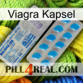 Viagra Capsule new15